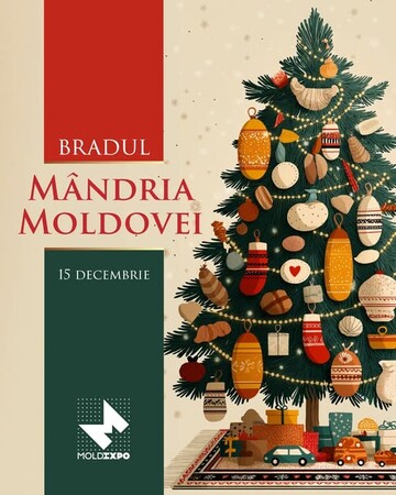 „Bradul – Mândria Moldovei”