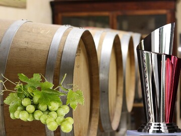 În Moldova se vor modifica regulile de acordare a Marelui Premiu pentru merite deosebite în domeniul viticulturii și vinificației și se vor introduce două noi categorii de premii