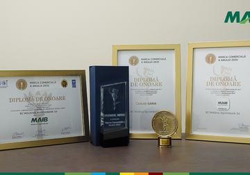 Triplă apreciere pentru MAIB la concursul Marca Comercială a Anului 