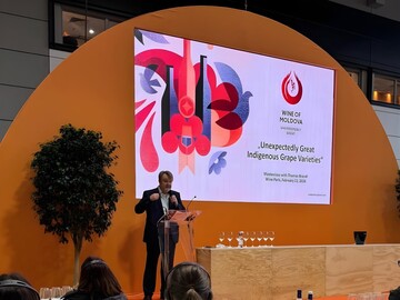 Молдавские вина на выставке Wine Paris 2026 получили высокую оценку и привлекли внимание профессионалов со всего мира – НБВВ