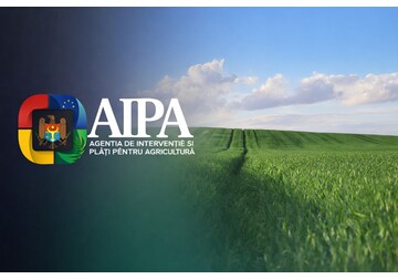 From May 4 to 8, the AIPA approved subsidies for farmers totaling 63.46 million lei, including the first payments of 32.4 million lei from the Moldova Growth Plan 