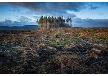 Изменение климата спровоцирует снижение кредитного рейтинга ряда стран