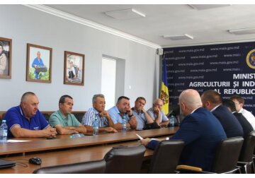 Licențierea importurilor de cereale ar putea fi prelungită până la sfârșitul anului 2024.