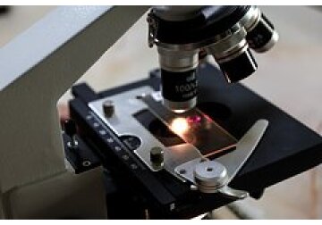 Американские ученые заявили о разработке лекарства от старости