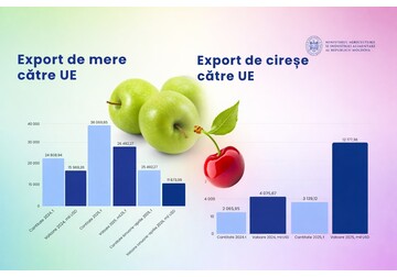În 2025, comparativ cu 2024, Moldova a înregistrat o creștere de 1,6 ori a exporturilor de mere către UE în termeni monetari – până la 25,5 milioane de dolari, de 2,6 ori a exporturilor de cireșe – până la 12,2 milioane de dolari, iar a exporturilor de prune – cu 1% – până la 41,3 milioane de dolari 
