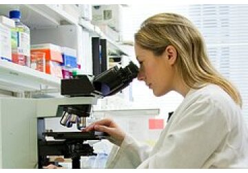 Доказано замедление старения мозга из-за полезного питания