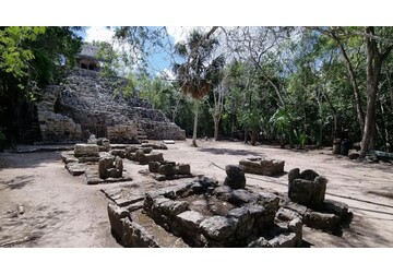 Piețe antice mayașe, scoase la lumină de arheologi. Locul neobișnuit unde cercetătorii le-au descoperit