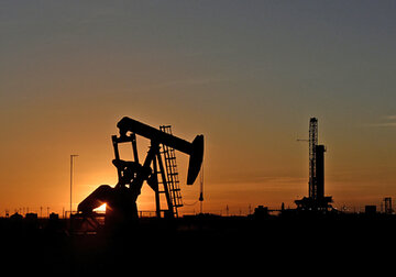 Высокие цены на нефть помогут спасти природу и станут катастрофой для бедных