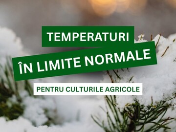 MAIA: Temperaturile scăzute actuale sunt normale pentru sfârșitul lunii decembrie și favorabile pentru culturile de cereale de iarnă  