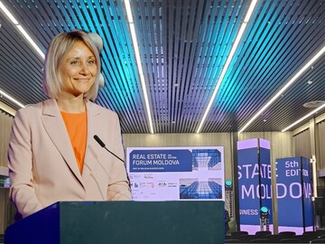 Guvernul Moldovei va continua să sprijine dezvoltarea sectorului industrial și logistic - Doina Nistor