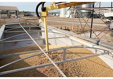 Пшеница подорожала на бирже в Чикаго на фоне затягивания войны в Иране