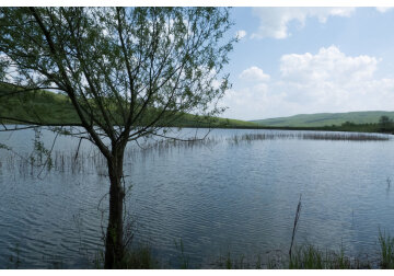 În Moldova, proprietarii de lacuri au fost obligați să dețină un permis de mediu pentru a utiliza apele pentru pescuit și să plătească pentru terenul de sub apă.