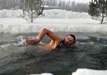Выяснено влияние холода на метаболизм «моржей»