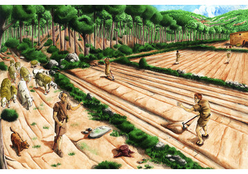 Ten thousand years ago, human evolution went into overdrive