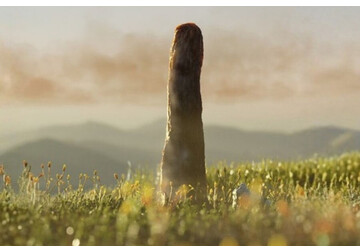 Гигантский организм неизвестной природы поставил ученых в тупик