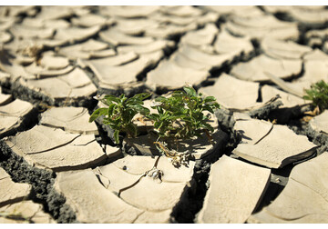 У глобального потепления выявили новую неожиданную опасность