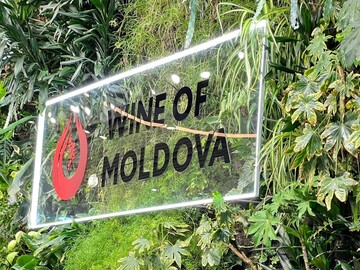 La Aeroportul Chişinău a fost inaugurat standul naţional Wine of Moldova (Vinul Moldovei)