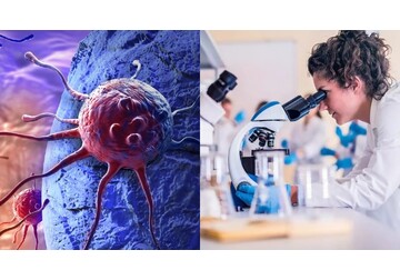 Tratamentul pentru cancer care entuziasmează oamenii de știință: „Abia am început să descoperim ce este posibil”