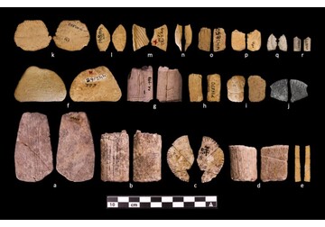 S-ar fi descoperit cele mai vechi zaruri din lume. Cum arătau piesele de joc în urmă cu 12.000 de ani