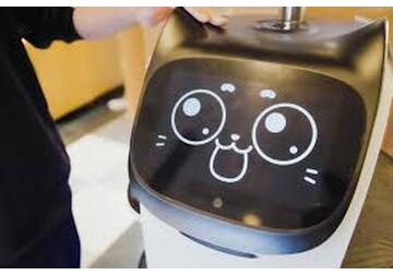 Restaurantele din Japonia „angajează” roboți-pisică pentru a servi clienții și a rezolva o problemă acută