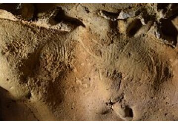Обнаружены самые древние наскальные рисунки неандертальцев
