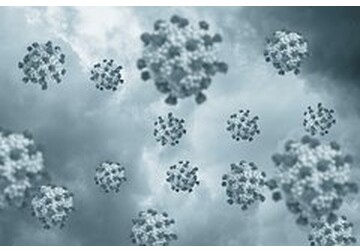 Найден способ остановить распространение вирусов