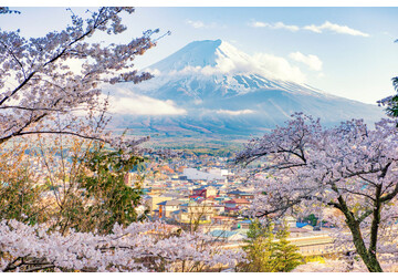Turismul excesiv din Japonia a dus la anularea festivalului florilor de cireș