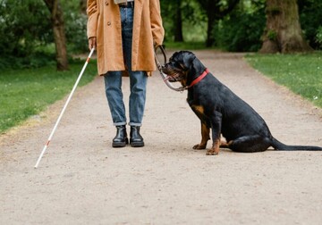 Revoluție medicală: un microcip de 2 mm le redă orbilor vederea