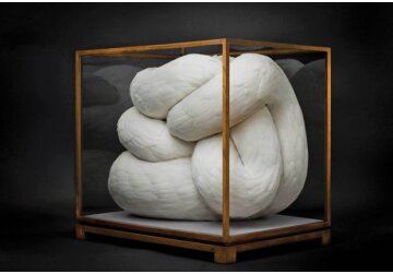 Sculpturi cu pene