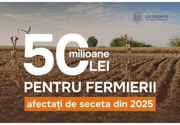 The Moldovan government is allocating 50 million lei to farmers whose corn and sunflower crops were damaged by the 2025 drought