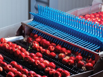 As of the end of 2024, exports of fruits and nuts from Moldova exceeded 266 thousand tons, accounting for 6.57% of the country's total foreign supplies