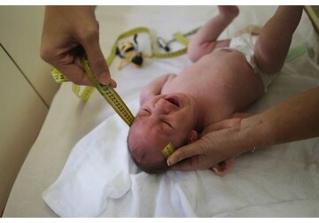 Universitatea Cambridge: Dezvoltarea creierului diferă între fete și băieți încă din perioada prenatală