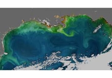 De ce oceanele lumii își schimbă culoarea