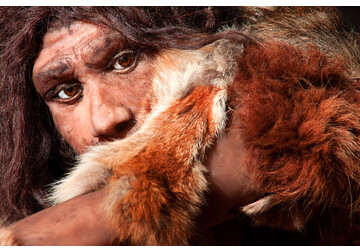 Новая находка ученых перевернула знания о развитии человечества