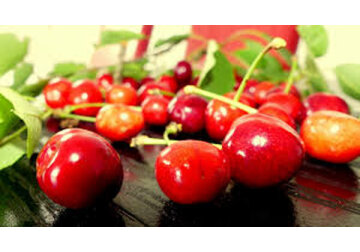 Marea Britanie a eliminat toate taxele de import și contingentele tarifare rămase pentru șapte tipuri de produse agricole din Moldova
