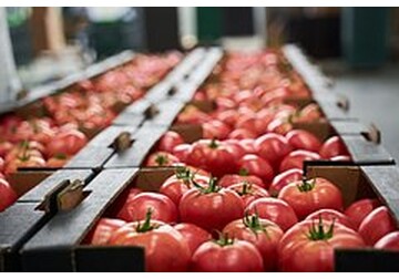 Производство еды во всем мире оказалось под угрозой