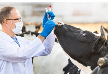 Medicii absolvenți ai facultății de medicină veterinară pot beneficia deja de sprijin din partea statului pentru angajarea în raioanele din țară.