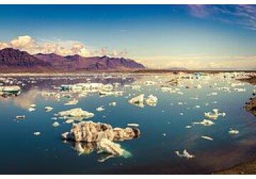 Вымирание крупных животных связали с человеком