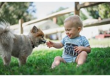 Общение с собаками оказалось полезным для здоровья