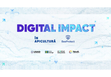 Cum o aplicație mobilă poate salva viața albinelor din Moldova