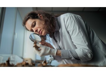 Cele mai vechi urme ale prezenței umane în Europa, descoperite în România. Arheologii cred că au aproape două milioane de ani