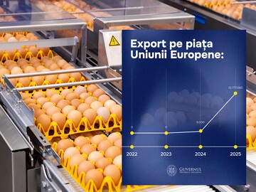 Молдова добилась рекордного роста экспорта яиц в Евросоюз за последний год - с 9 тыс. штук в 2024 г. до 10 млн 777 тыс. 060 штук на 1 июля 2025 г.