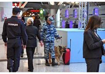 Собак надрессировали определять больных коронавирусом в аэропортах