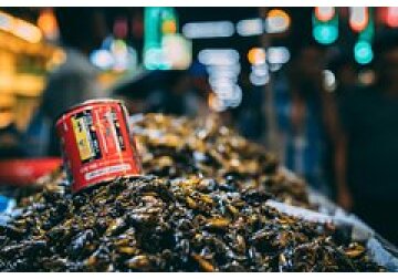 В Британии нашли способ заставить людей есть насекомых