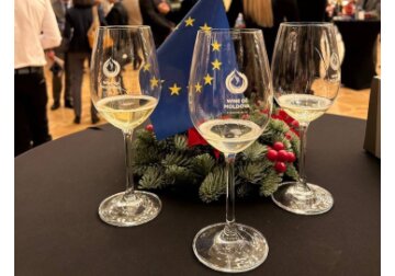 Vernisajul Vinului 2023: Peste 2000 de vizitatori și o experiență vinicolă de excepție