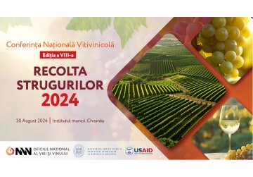Recolta de struguri este în descreștere, în timp ce exporturile sunt pe un trend ascendent. Provocările climatice și reziliența sectorului - pe agenda Conferinței Naționale a Filierei vitivinicole.