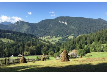 Cinci județe. Atât e turismul românesc, de fapt