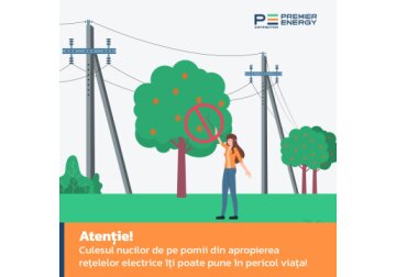 Strângerea nucilor de pe pomii din apropierea liniilor electrice aeriene este o activitate periculoasă, ce se poate solda cu grave consecințe ale electrocutării.  Respectați cu strictețe regulile de securitate electrică, protejați-vă viața și sănătatea!