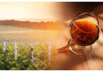 ONVV: Degustarea regională a produselor cu indicație geografică Divin, organizată în Moldova cu participarea a 14 fabrici de vin și divin, a evidențiat nivelul ridicat de calitate al distilatelor și coniacurilor moldovenești  