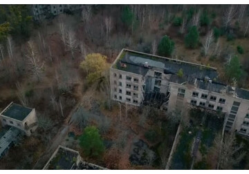 У грибов в Чернобыле развилась аномальная способность